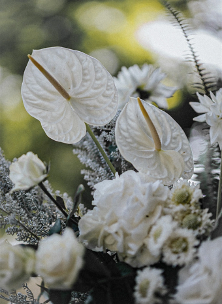 סתיו אגם עיצוב והפקת אירועים