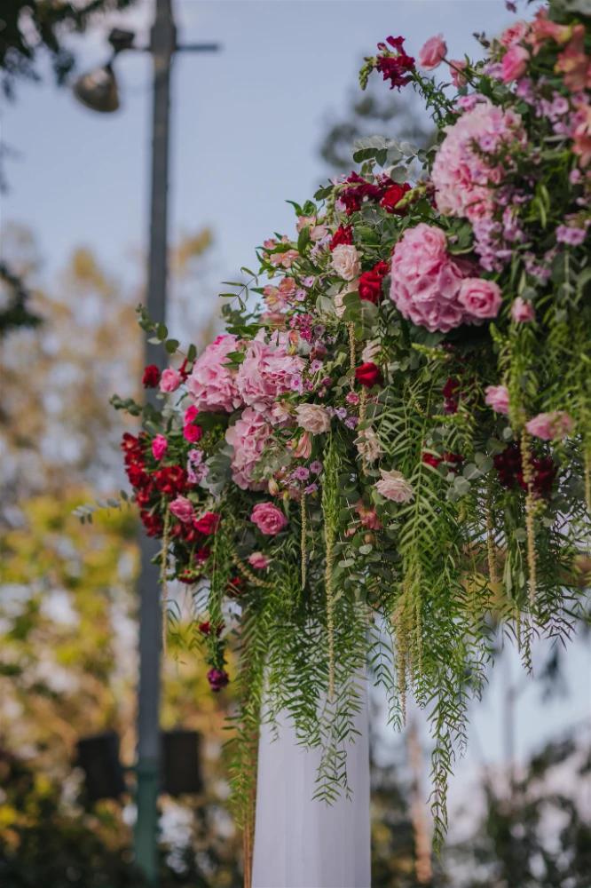 לוטן ואופיר